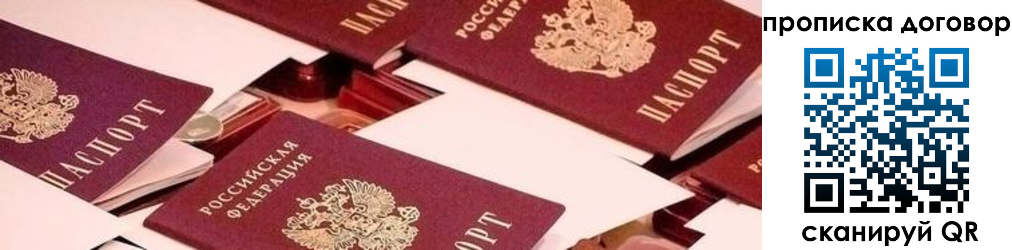 прописка для школы в Юрьев-Польском